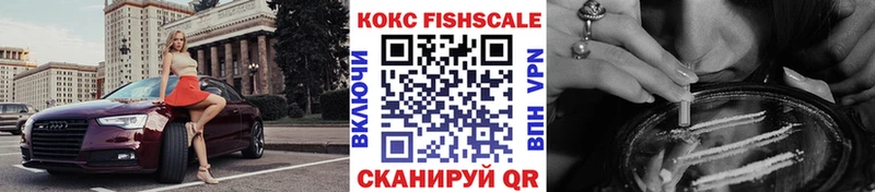 COCAIN FishScale  купить закладку  Инза 