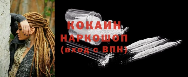 прущая мука Вяземский