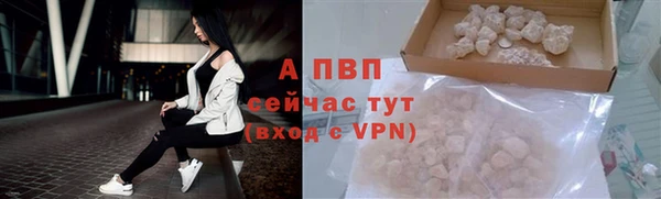 прущая мука Вяземский