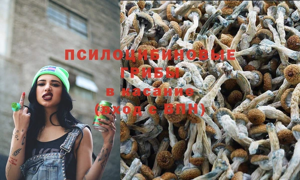 прущая мука Вяземский
