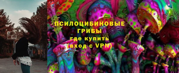 прущая мука Вяземский