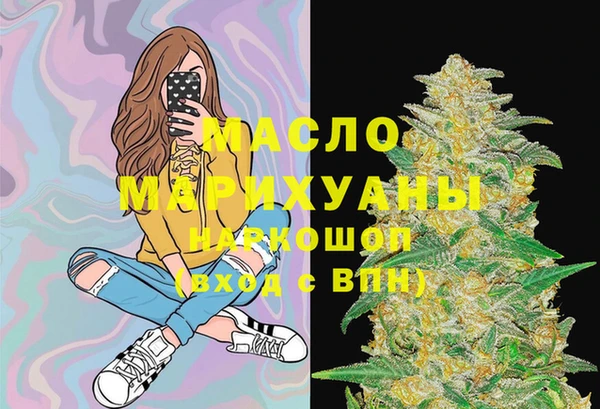 прущая мука Вяземский