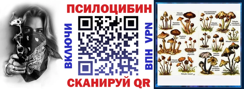Псилоцибиновые грибы Psilocybine cubensis  Инза 
